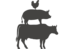 animal pyramid cow pig rooster